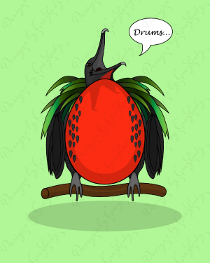 Eggy Frigatebird