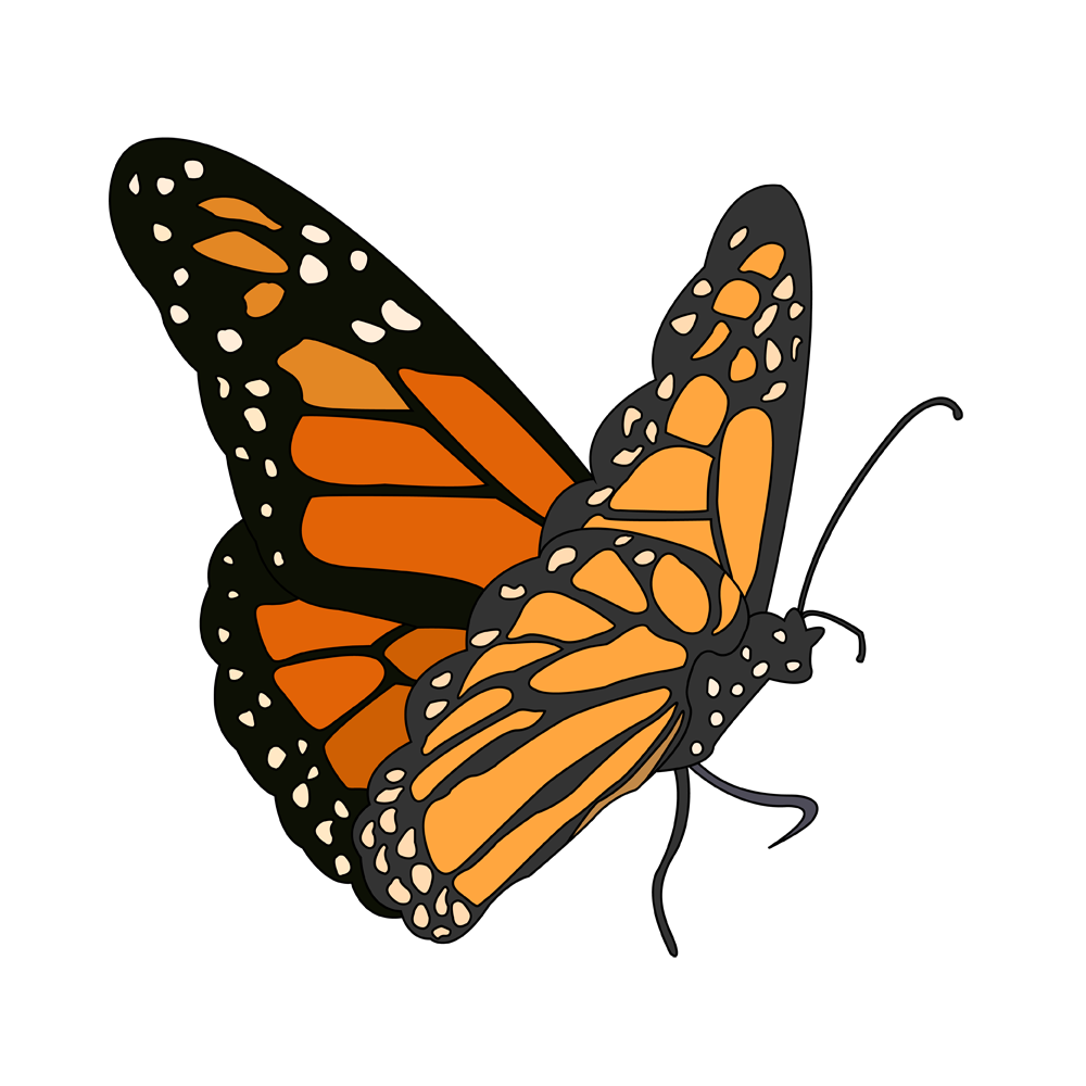 Beautiful butterfly whimsical creature art by Scary Sweet