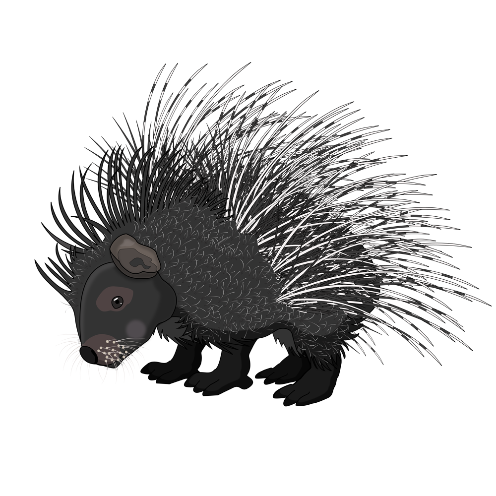 Prickly porcupine whimsical creature art by Scary Sweet